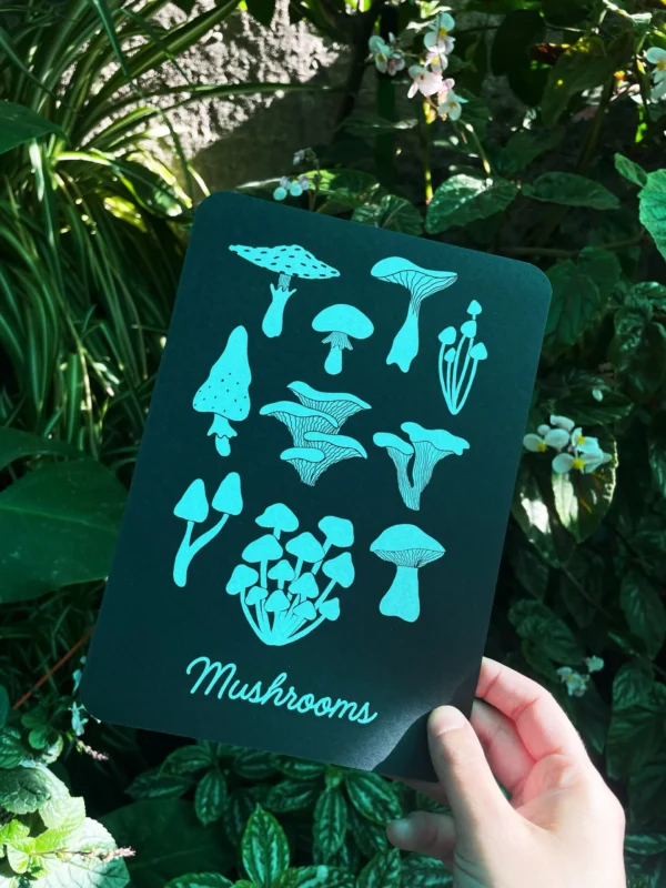 IMG_2843 Print - Mushrooms