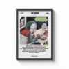 jpeg-optimizer_MF DOOM Cuadros - MF DOOM
