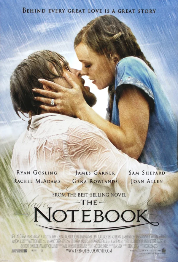 Poster: the notebook